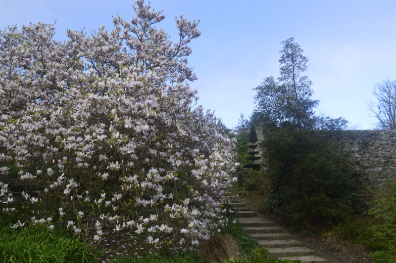 Plas Cadnant Hidden Gardens